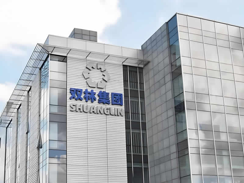 宁波双林汽车部件股份有限公司